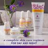 Burt's Bees Renewal Brightening Dark Spot Corrector with Bakuchiol Natural Retinol Alternative, 1 Oz (Package May Vary)