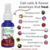 Siddha Remedies Happy Heart Spray | Helps Cold & Detached Get More in Touch with Their Heart & Bring Emotions to Surface | 100% Natural Homeopathic Remedy | Cell Salts & Flower Essences for Worry