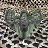 NEW Valken 3G Wire Mesh Tactical Airsoft Mask - Green