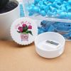 'Crazy Plant Lady Plant Pot ' Compact Pencil Sharpener (PS00039369)
