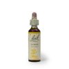 Bach Original Flower Remedies, Gorse - Have Hope - Natural Homeopathic Flower Essence for Emotional Balance - Vegan, Gluten Free, Sugar Free - 20mL Dropper
