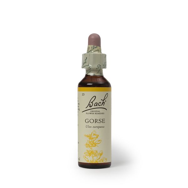 Bach Original Flower Remedies, Gorse - Have Hope - Natural Homeopathic Flower Essence for Emotional Balance - Vegan, Gluten Free, Sugar Free - 20mL Dropper