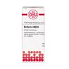 Berberis LM XXX DHU Dilution, 10 ml Lösung