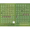 DG: D-Day at Omaha Beachhead Boardgame, 2nd Edition