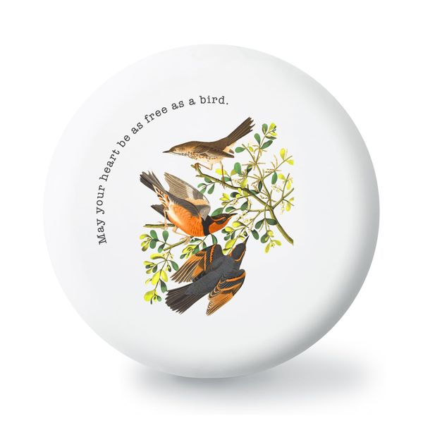Linqüe Mouthpiece Case, Retainer, Aligner, Case, Thin, Cute, Stylish, as a bird