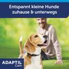 ADAPTIL Calm Collar for Small Dogs