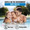 Pool Leak Detection Dye Kit - with 2 Precision Applicators - Made in USA -