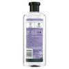 Jojoba Oil & Lavender Curls Shampoo