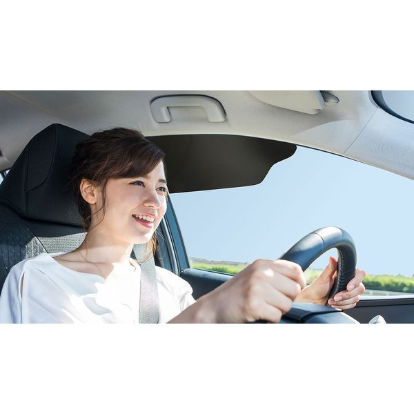 TuckVisor Windshield Sunshade For Car Sun Window Shade Visor Shades Sunshade 2pk