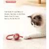 Interactive Cat Ball Toy with Rope Tail, Red