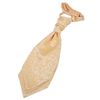 DQT New Swirl Boy's Scrunchie Cravats (Gold)