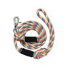 Wilderdog Climbing Rope Quick Clip Dog Leash - 5 ft - Rainbow