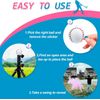 Gender Reveal Exploding Baseball for Gender Reveal Party Decorations 2 Pack Blue