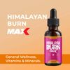 (6 Pack) Himalayan Burn Max Drops, Himalaya Burn Max Advanced Supplement
