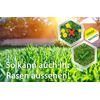 Roundup Rasen-Unkrautfrei - 100 ml