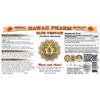 Blue Vervain (Verbena Hastata) Liquid Extract 2 oz