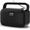 Powerbyte - Portable FM Radio Digital with Powerful 30W Stereo Bluetooth Speaker
