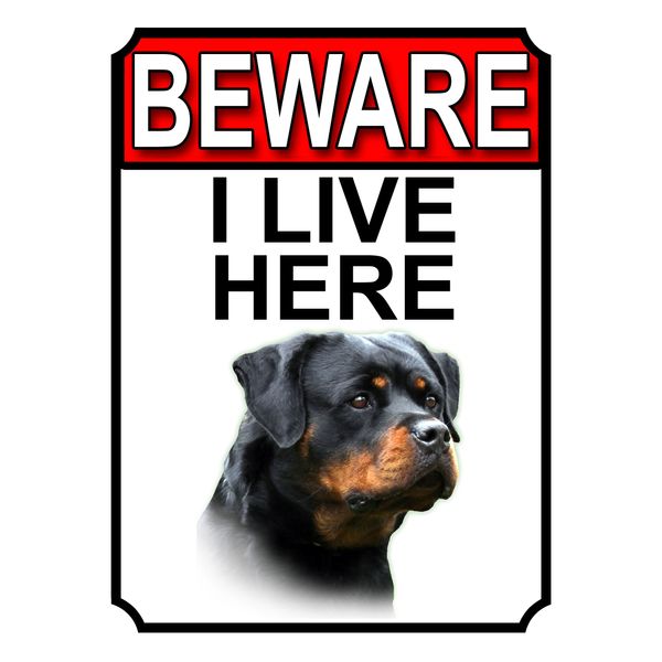 SHAWPRINT BEWARE I LIVE HERE METAL GATE SIGN ROTTWEILER (8" x 6")