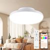 LED Ceiling Light, 10 W, 2,000 lm, App Control, Remote Control, Includes Remote Control, Color Temperature Adjustment, Brightness Adjustment, Easy Installation, Bluetooth Compatible, Eye-friendly, LED