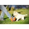 Small Kick Fetch Dog Toy (Pkg of 3)