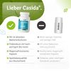 Intestinal flora complex with 16 selected bacterial strains and inulin