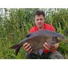Tandem Baits Method Feeder MF Diffusion Micro Boilies 8mm 20g Squid&Orange Carp