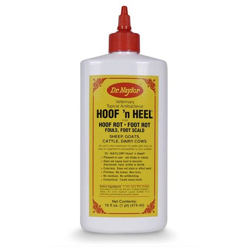 Dr. Naylor Hoof n' Heel (16 oz.) - Traditional Foot Rot Treatment