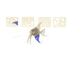 Quay Angel Fish Woodcraft Construction Kit FSC