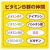 Otsuka Pharmaceutical Nature Made B-6 80 grains 40 days' worth