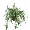 Nearly Natural 6607 Spider Hanging Basket Decorative Silk Plant, Green,10.25" x 10.25" x 17.5"