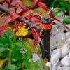 Antelco Shrubbler - PC Full circle adjustable flow on spike, PK10