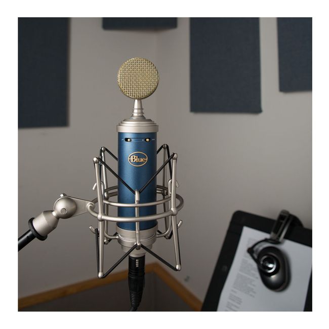 Blue Microphones Bluebird SL Large-Diaphragm Condenser Microphone