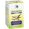 Ginger 500 mg Capsules + Vitamin B1 + C Pack of 90