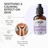 Merja Lavender essential oil - 100% Pure - 20ml