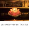 進物 Qing Lotus Light