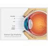 vision support supplement - EYE VISION GUARD - bilberry and lutein capsules 3B