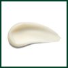 Aveda Rosemary Mint Weightless Conditioner | Lightweight Daily Conditioner |