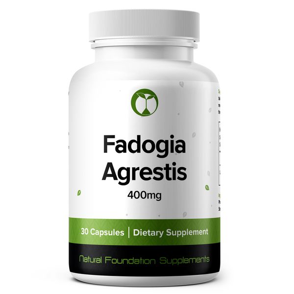 Fadogia Agrestis Extract| 400mg for Maximum Potency 30 Capsules | 3rd Party Lab Tested for Purity & Quality | Supplement for Men (30)