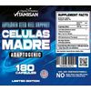 Stem Cell Plant Based Age Defying Support Supplement 360 Capsule Cellular Health