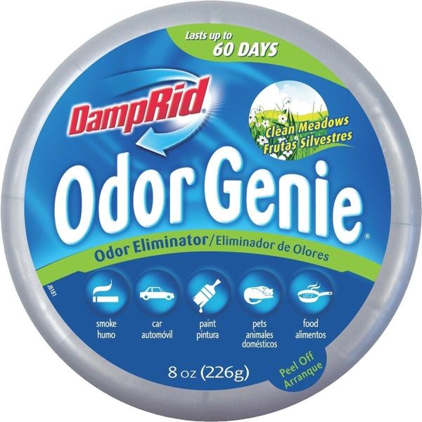 DampRid Odor Eliminator Solid Air Freshener  Clean Meadows  2 PK