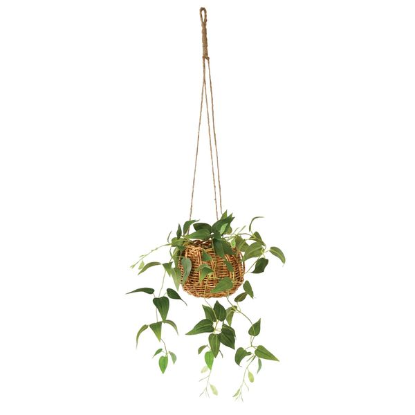 KI Japan 168874 Clematis Hanging Basket