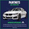 PaintNuts Colour Matched Car Touch Up Paint Pen By Registration