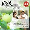 Persimmon and Spun 柿渋 Formula Body Soap 480ml