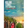 Sweet Summer Sun: Hyde Park Live[DVD/2 CD]