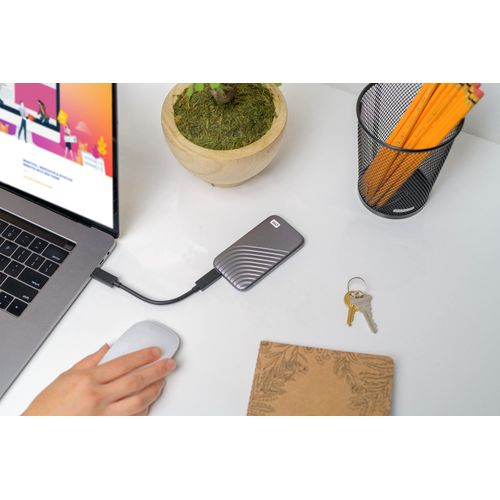 Western Digital 2TB My Passport SSD Portable External Solid State Drive, Gray, Sturdy and Blazing Fast, Password Protection with Hardware Encryption - WDBAGF0020BGY-WESN