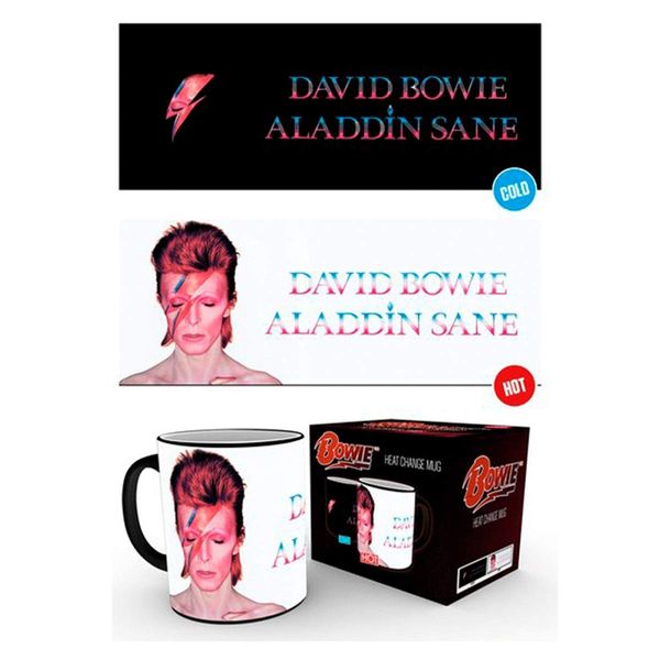 GB eye David Bowie Aladdin Sane Heat Change Mug