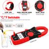 6000 Counts Digital Clamp Meter Multimeter True RMS AC DC Current Volt Amp Meter