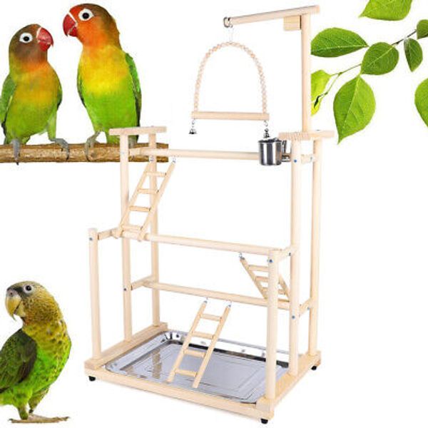 Pet Parrot Playstand Parrots Bird Playground Bird Play Stand Wood Perch Gym Play