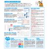 会計らくだ25