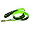 "Go Walk" Reflective Rainbow Lead for Dogs